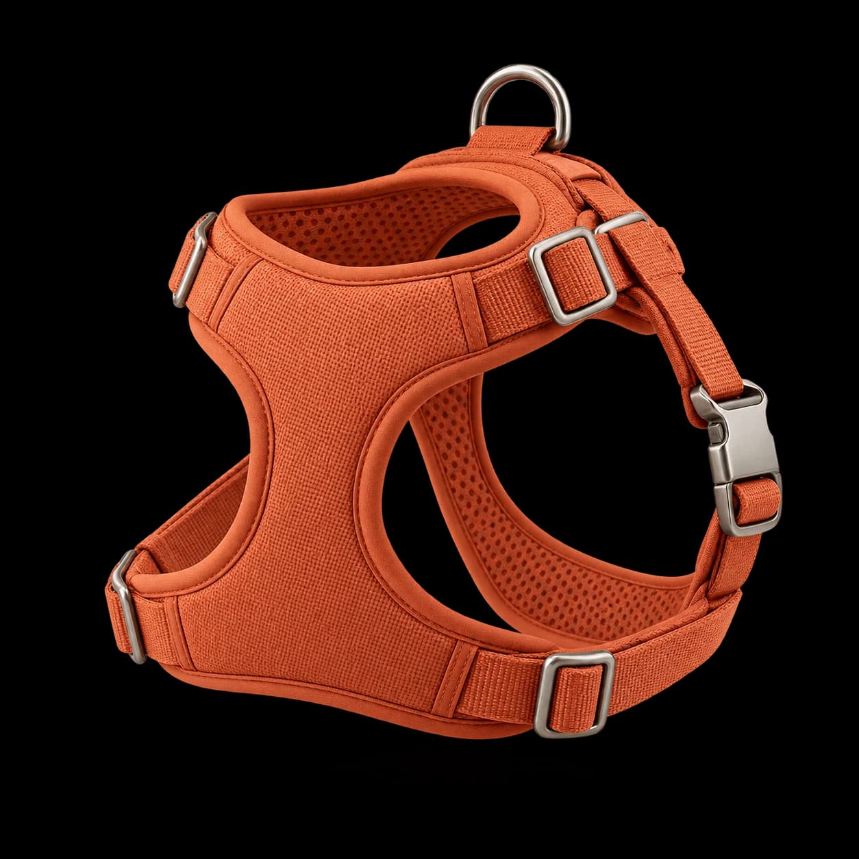 The everyday harness